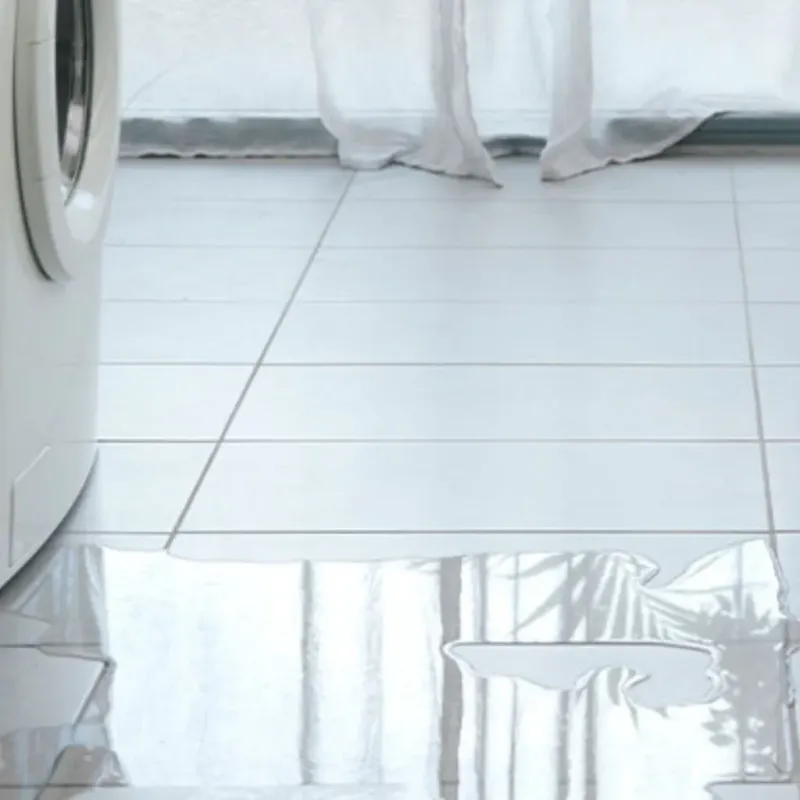 Appliance Leak Cleanup in North Fond du Lac, WI