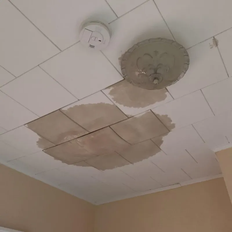 Ceiling Water Damage Repair in North Fond du Lac, WI