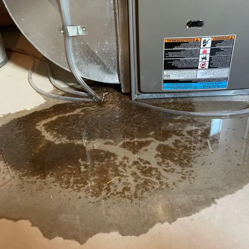 Pipe Burst and Leak Restoration in North Fond du Lac, WI